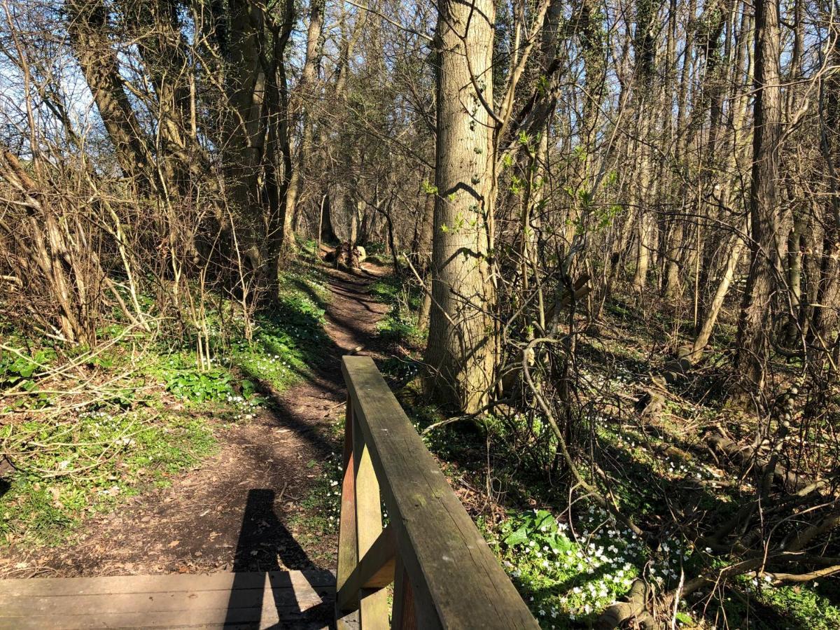 Ferienwohnungostseeblick Börgerende-Rethwisch Exterior foto